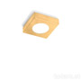 Иконка Kolarz A1345.10Q.Au Spot CLICK, Leaf Gold, 12 Точечный светильник